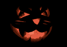 Jackolantern Pumpkin GIF - Jackolantern Pumpkin Cat GIFs