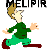 Melipir Sticker