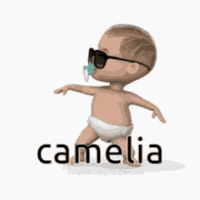 Camelia GIF