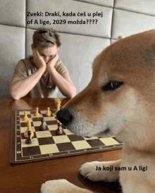 Dogg Plays Chess GIF - Dogg Plays Chess GIFs