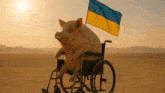 a pig is sitting in a wheelchair with a flag behind it