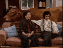 two men sit on a couch in front of a cow