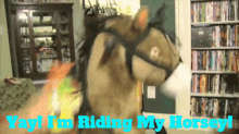 Sml Bowser GIF - Sml Bowser Yay Im Riding My Horsey GIFs