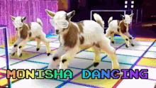 goat dancing
