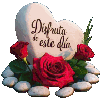 a heart shaped stone that says disfruta de este dia