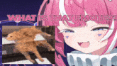 a picture of a cat next to a picture of a girl with the words what is that emote