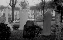 Witchcraft Cemetery GIF - Witchcraft Cemetery Scary GIFs