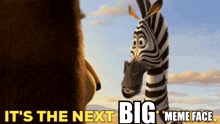 a zebra and a bear are looking at each other with the words it 's the next big meme face