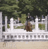 Hunterjumping Horse GIF - Hunterjumping Horse Equestrian GIFs