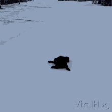 Sliding Down Snow Hill Viralhog GIF