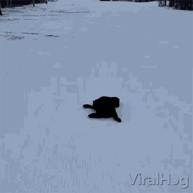 Sliding Down Snow Hill Viralhog GIF Sliding Down Snow Hill Viralhog
