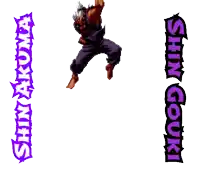 a graphic of a person with a fire coming out of their chest with shin gouki written on the bottom