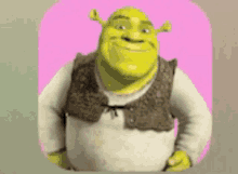 Shrek Moreshrek GIF - Shrek Moreshrek Bounce GIFs