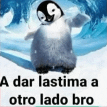 a baby penguin is standing in the snow with the words a dar lastima a otro lado bro .