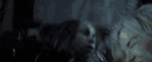 a group of people are sitting in a car and one of them has a scary face .