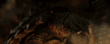 Gamera Kaiju GIF - Gamera Kaiju Monster GIFs