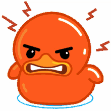 cxyduck