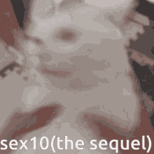 Sex10 Sexten GIF - Sex10 Sex Sexten GIFs