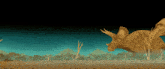 a cartoon drawing of a triceratops running in a field