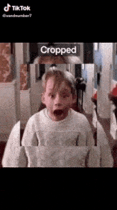 a boy in a white sweater is standing in a hallway with his mouth open and the word cropped above him .