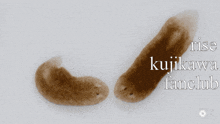 Rise Kujikawa Rkfc GIF