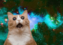宇宙ねこ まさか　大暴れ GIF - Space Cat Uchu Neko GIFs