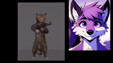 Furry Kill Furry GIF - Furry Kill Furry Cat GIFs