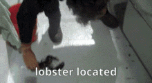 located lobster