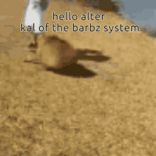 Kal Capybara GIF - Kal Capybara Barbz System GIFs