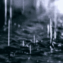 lluvia raining rain raining day