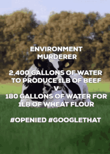Plant Based Cow GIF - Plant Based Cow Environment Murderer GIFs