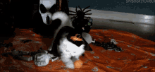 Cat Witch GIF - Halloween Cats Cute GIFs