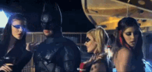 Batman Catwoman GIF - Batman Catwoman Poison Ivy GIFs