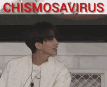 Jeonghan Joshua Chismosavirus GIF - Jeonghan Joshua Chismosavirus Tokkiehan GIFs