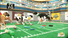 Super Bowl LVIII  Puppy-bowl-puppies