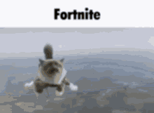 Fortnite Cat GIF - Fortnite Cat GIFs
