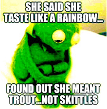 kermit the frog says she taste like a rainbow found out she meant trout not skittles