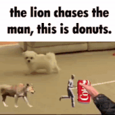 the lion chases the man , this is donuts . a person is holding a can of coke .