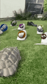 a turtle is surrounded by a bunch of icons including one that has a skull on it