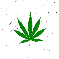 Weed Sticker - Weed Stickers
