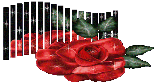 Red Rose Red Rose Image Sticker - Red Rose Red Rose Image Red Rose Gif Stickers