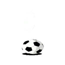 migros supportyoursport