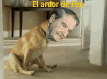 Vicente Fox Chachalaca GIF - Vicente Fox Chachalaca Dog GIFs