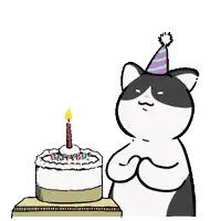 a black and white cat wearing a party hat is celebrating a birthday cake .