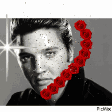 Elvis Presley Sparkle GIF - Elvis Presley Sparkle Roses GIFs