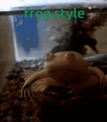Frog Frog Style GIF - Frog Frog Style The Froggiest Frog GIFs