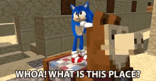 Whoa What Is This Place Sonic GIF - Whoa What Is This Place Sonic Amazed GIFs