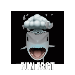 Fun Fact Sticker - Fun Fact Stickers