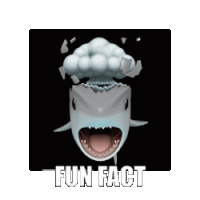 Fun Fact Sticker - Fun Fact Stickers