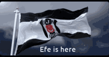 Efe Is Here GIF - Efe Is Here GIFs
